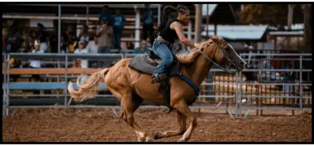 Rodeo Ticket Case Study Picture