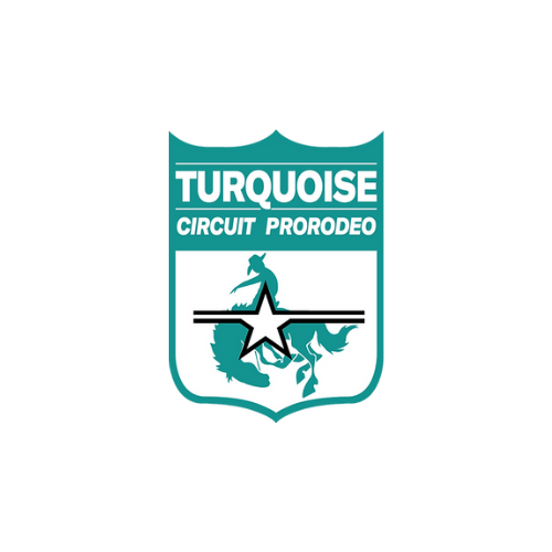 Turquoise Circuit logo