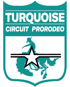 Turquoise Circuit Logo